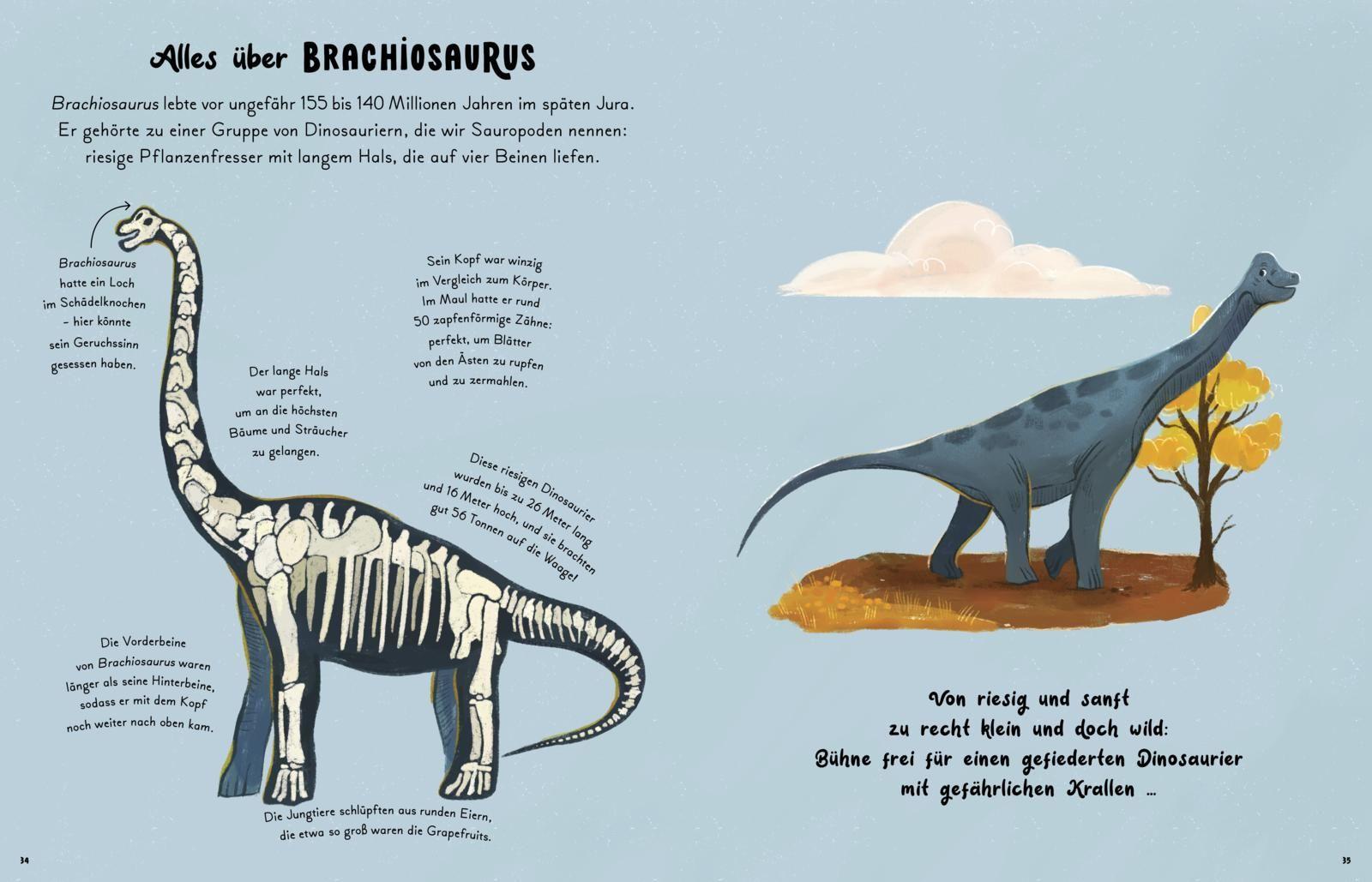 Beispielinhalt (Bild) Kleine und große Wunder der Dinosaurier