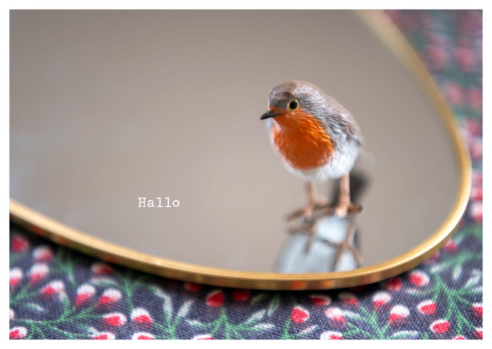 Beispielinhalt (Bild) Mitbringsel - Postkartenbuch