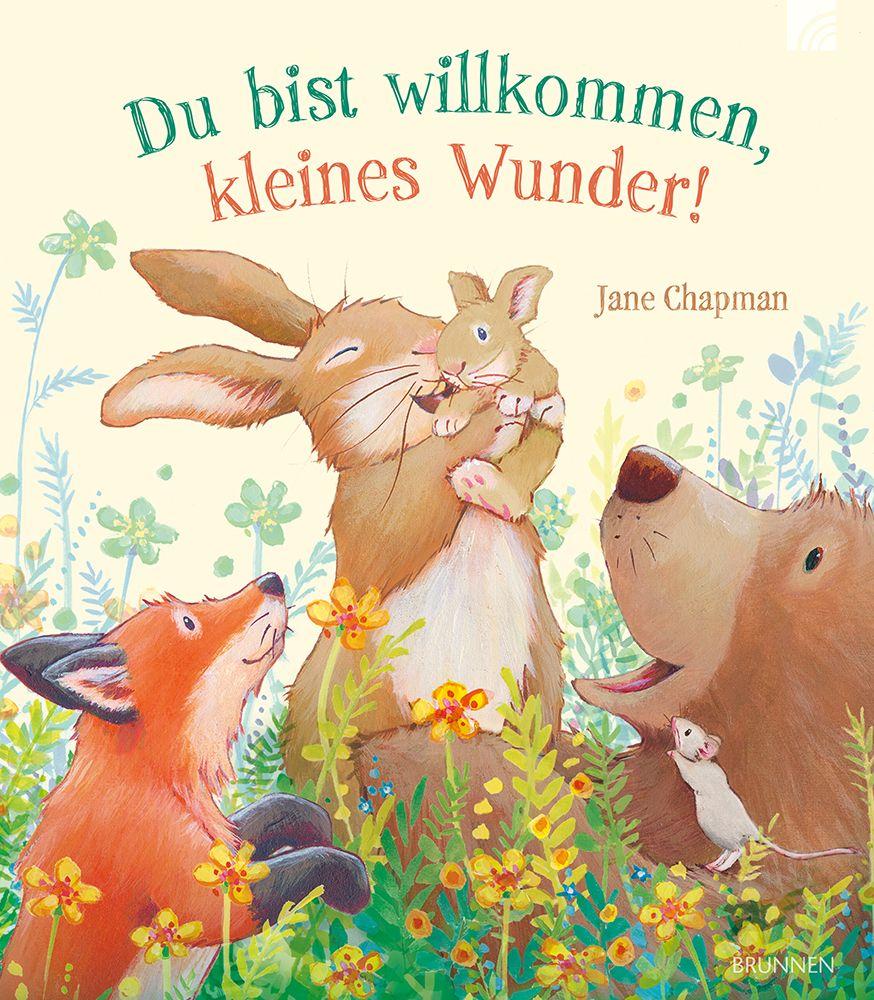 Vorderes Coverbild Du bist willkommen, kleines Wunder!