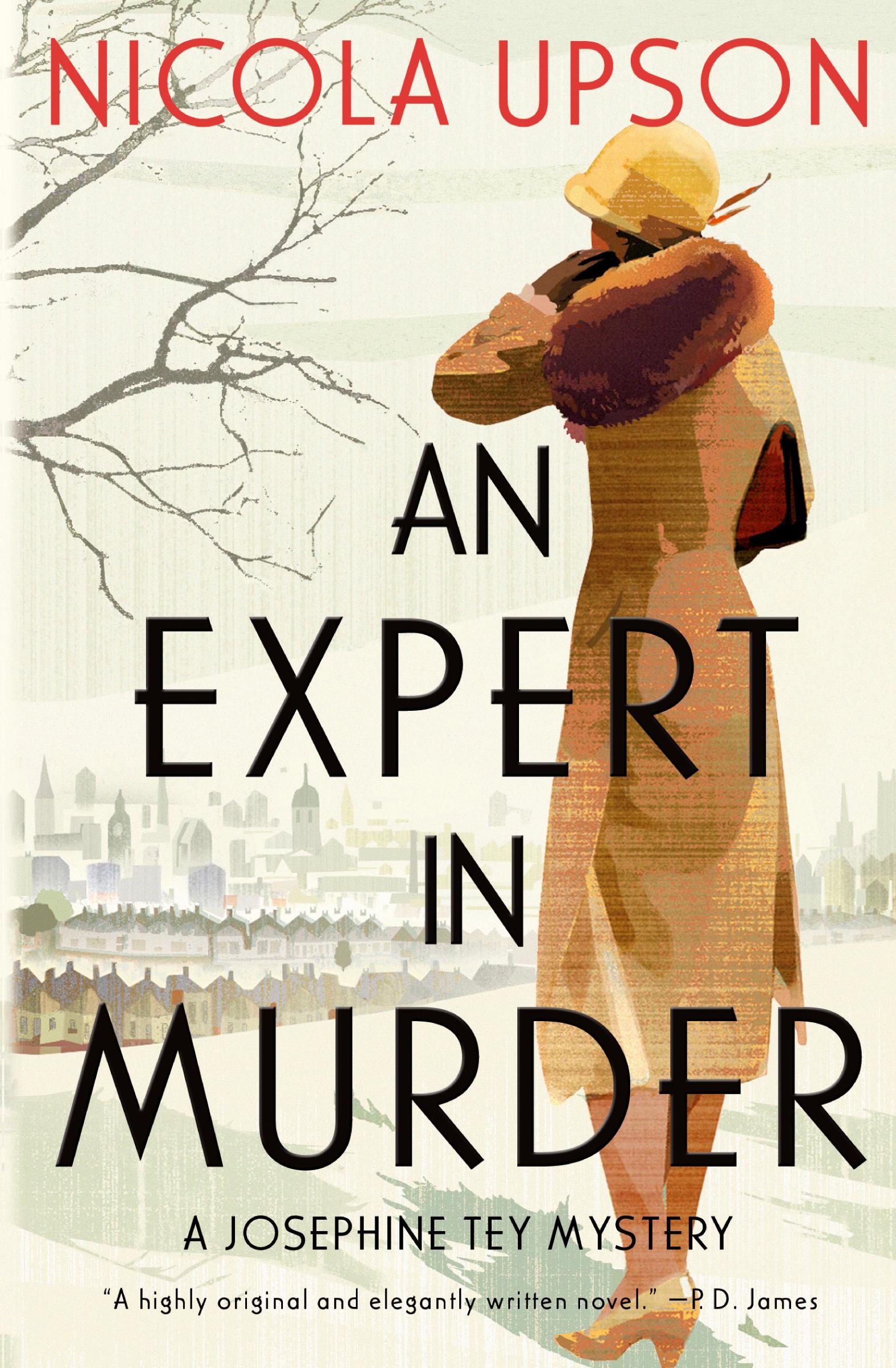 Vorderes Coverbild An Expert in Murder