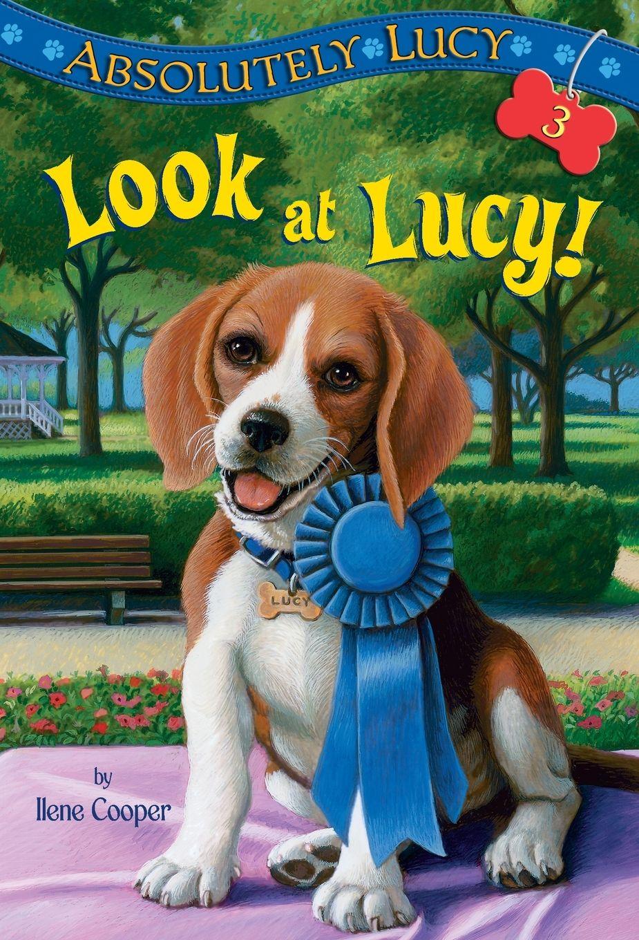 Vorderes Coverbild Absolutely Lucy #3