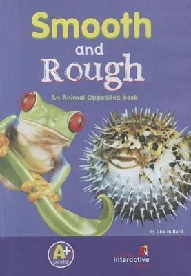 Vorderes Coverbild Smooth and Rough
