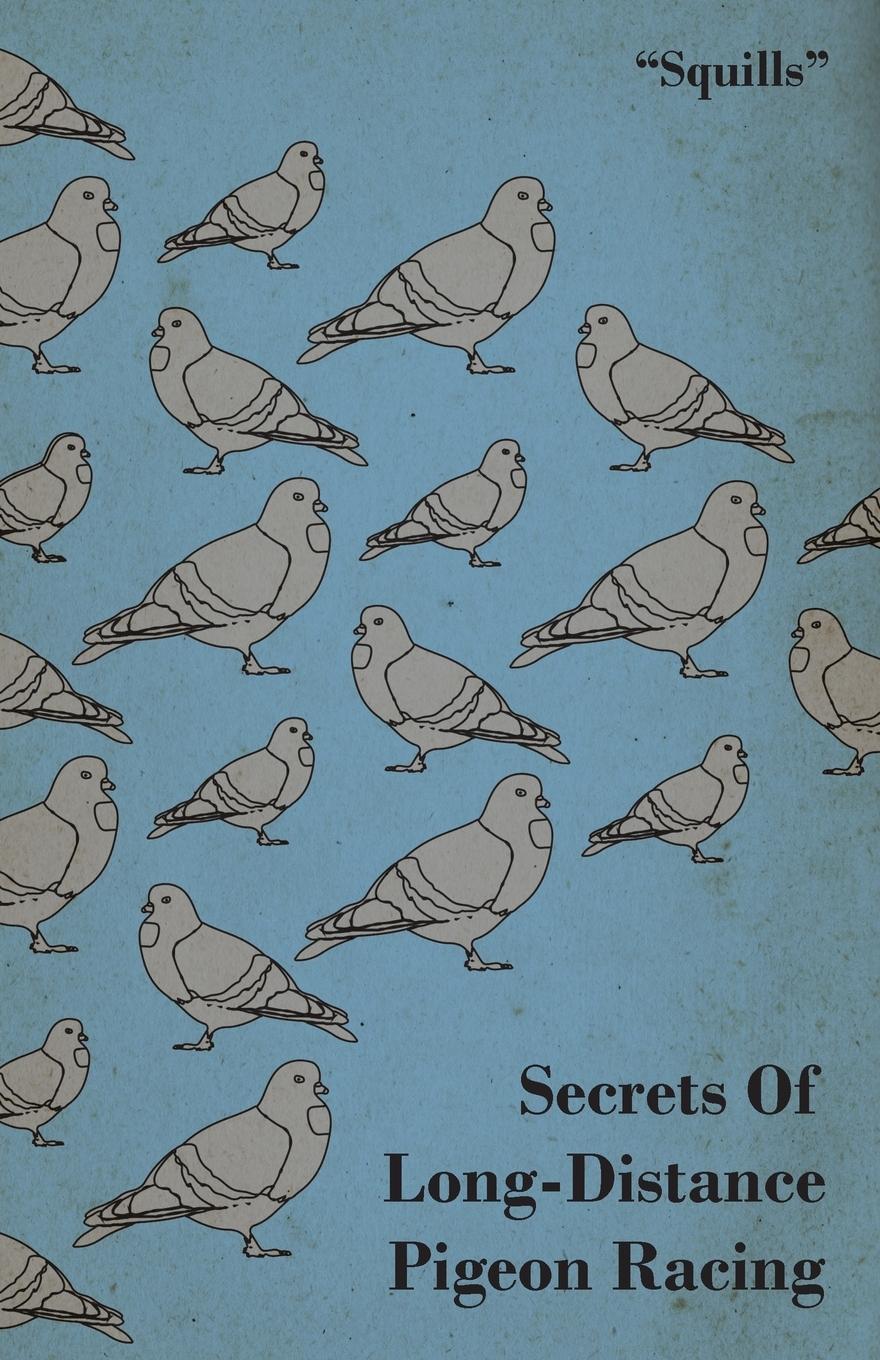 Vorderes Coverbild Secrets of Long-Distance Pigeon Racing