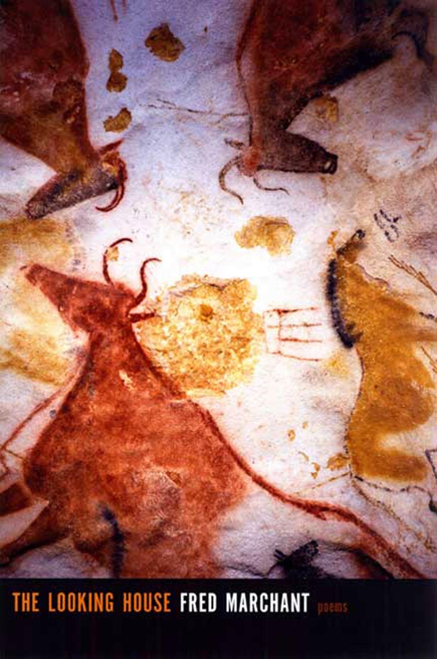 Vorderes Coverbild The Looking House