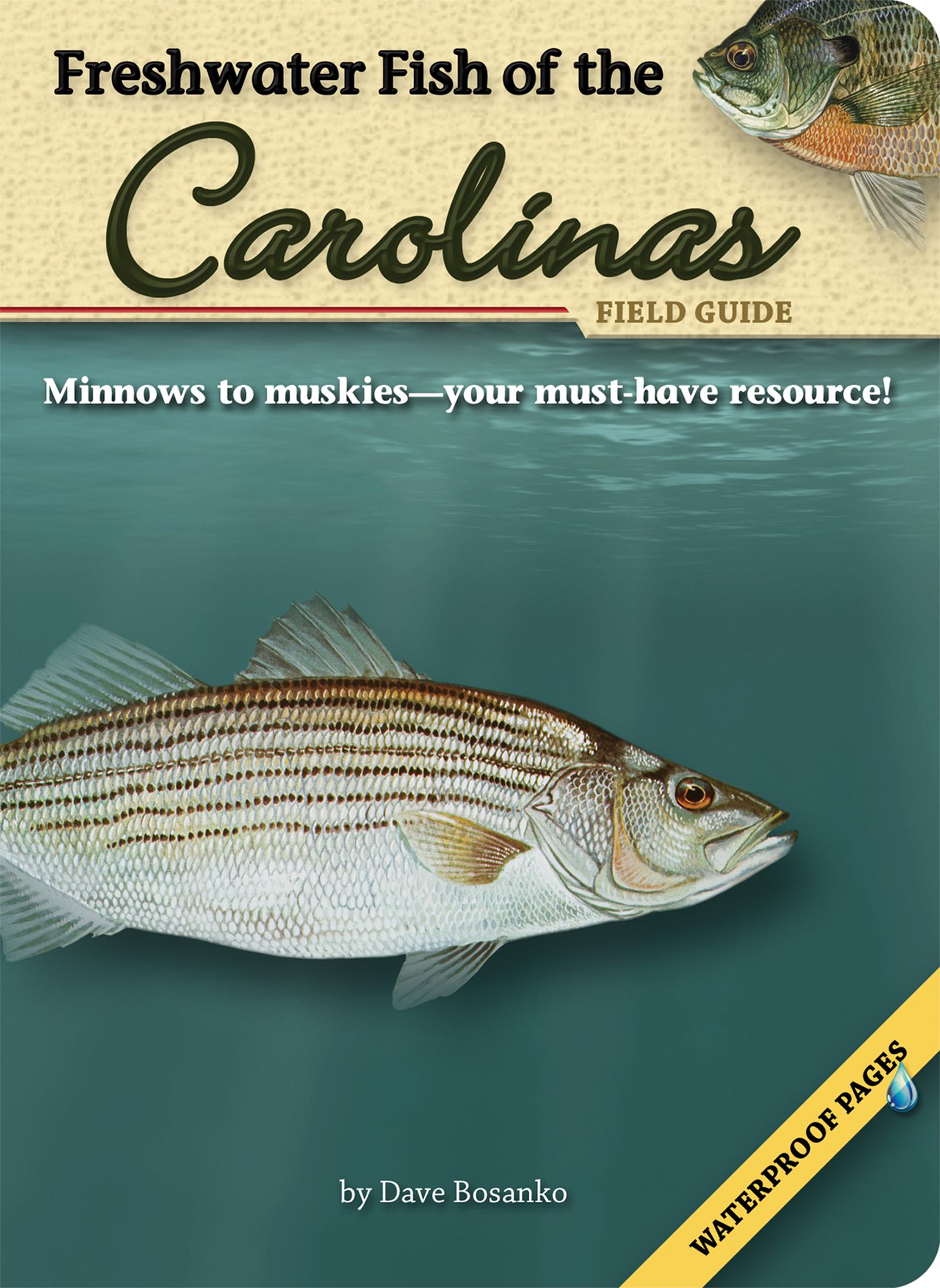 Vorderes Coverbild Freshwater Fish of the Carolinas Field Guide