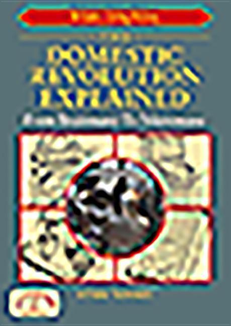 Vorderes Coverbild The Domestic Revolution Explained