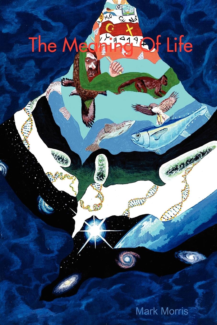 Vorderes Coverbild The Meaning Of Life