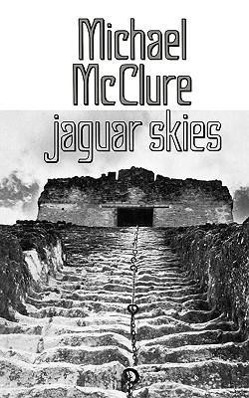 Vorderes Coverbild Jaguar Skies