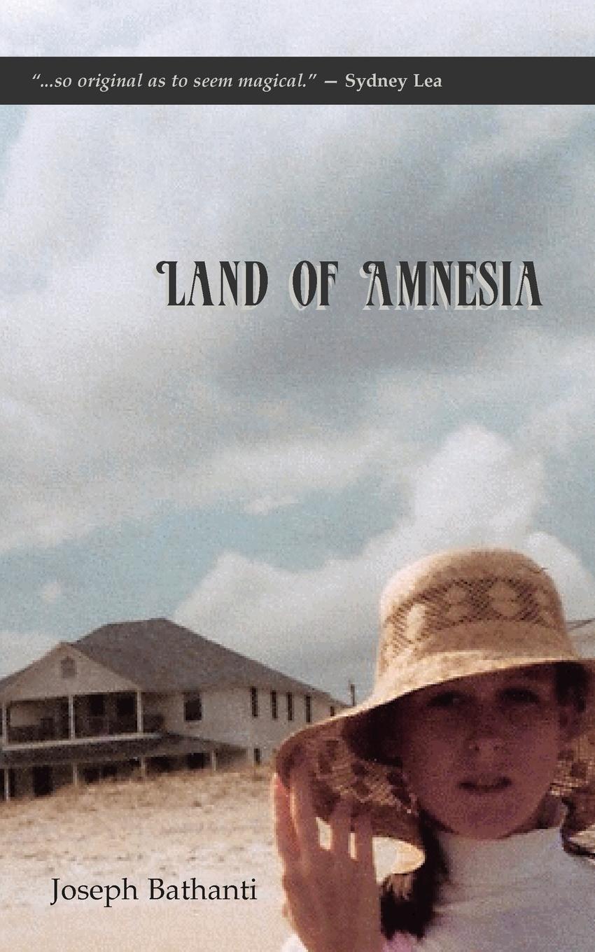 Vorderes Coverbild Land of Amnesia