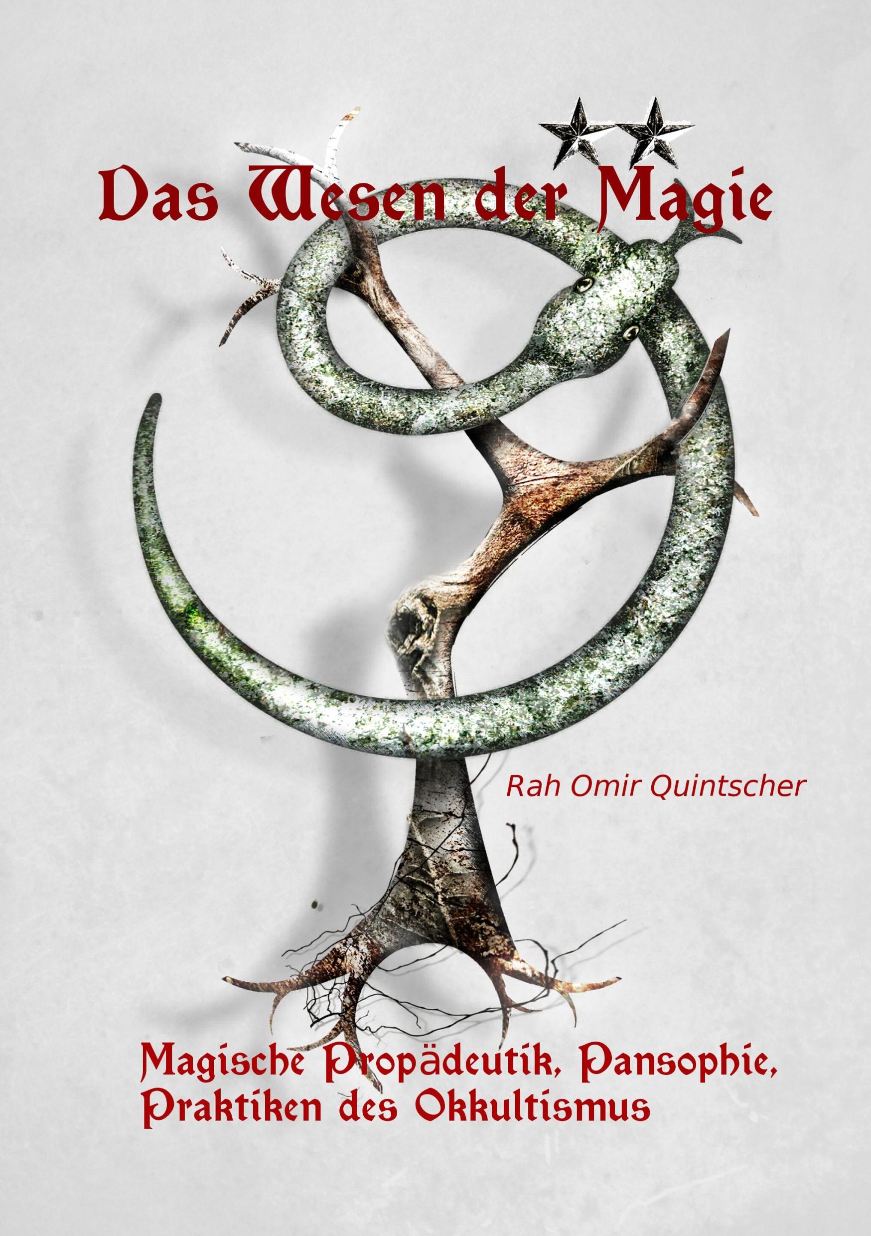 Vorderes Coverbild Das Wesen der Magie