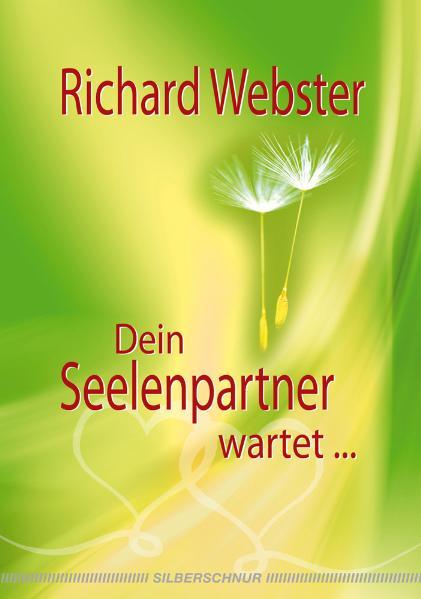 Vorderes Coverbild Dein Seelenpartner wartet...