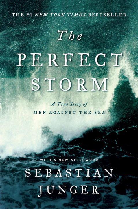 Vorderes Coverbild The Perfect Storm