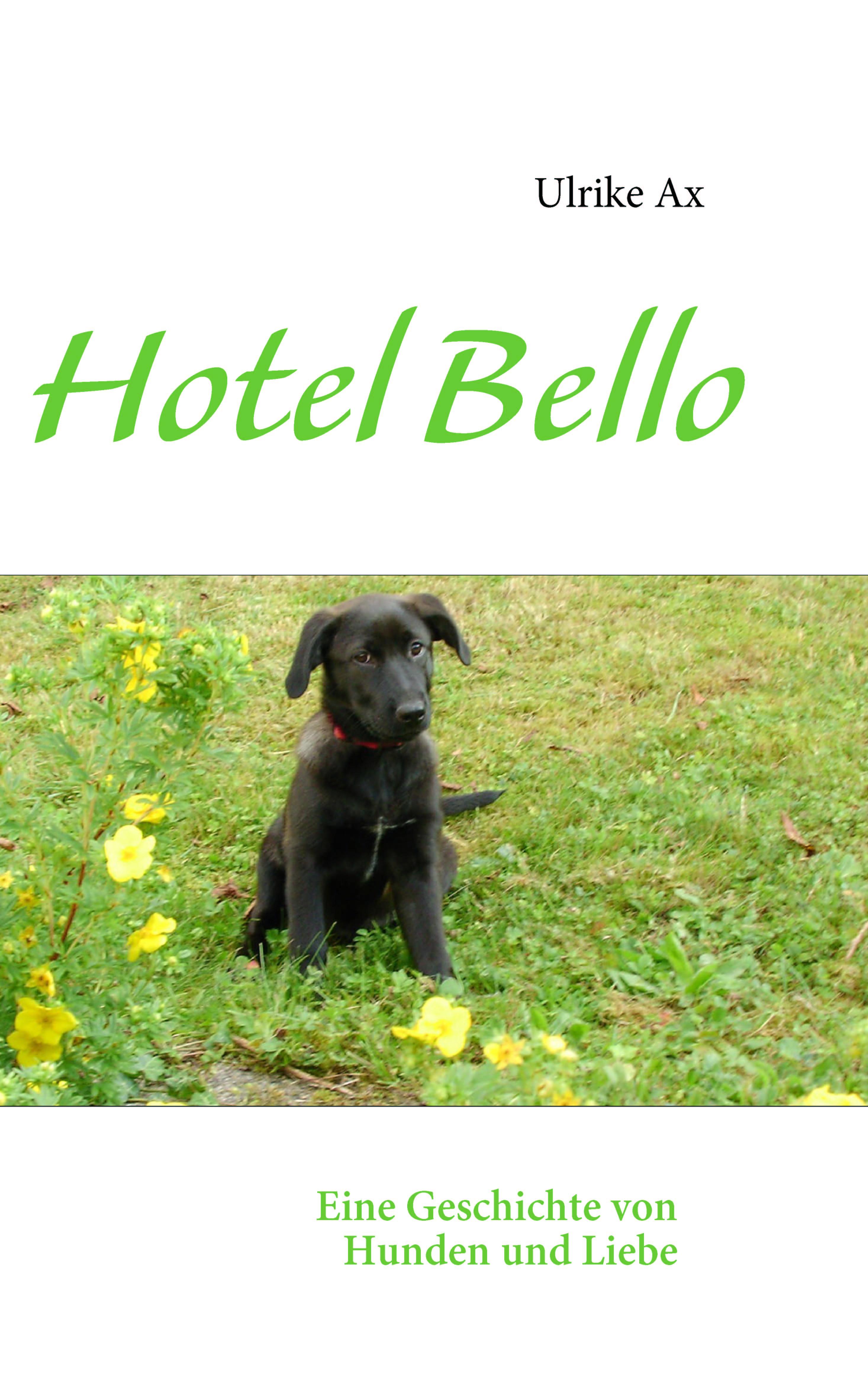 Vorderes Coverbild Hotel Bello
