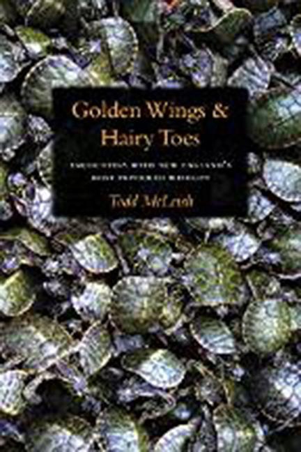 Vorderes Coverbild Golden Wings and Hairy Toes