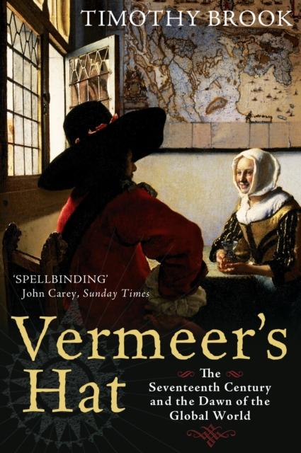 Vorderes Coverbild Vermeer's Hat