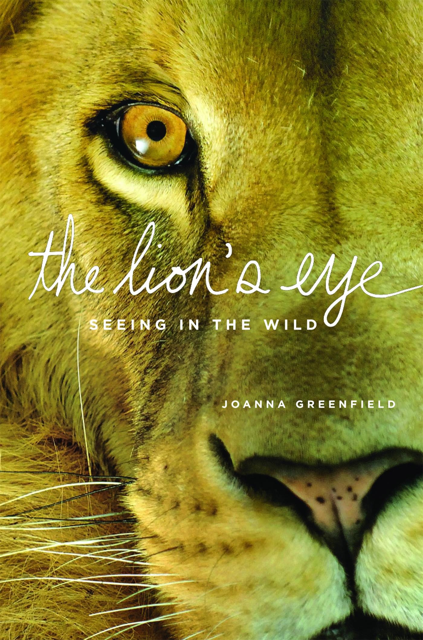 Vorderes Coverbild The Lion's Eye