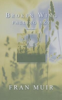 Vorderes Coverbild Broken Wing, Falling Sky