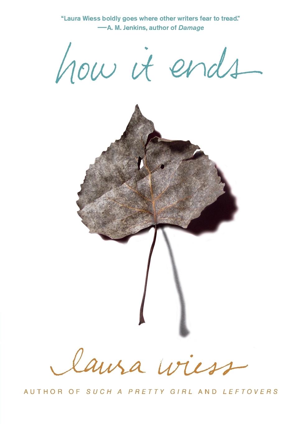 Vorderes Coverbild HOW IT ENDS