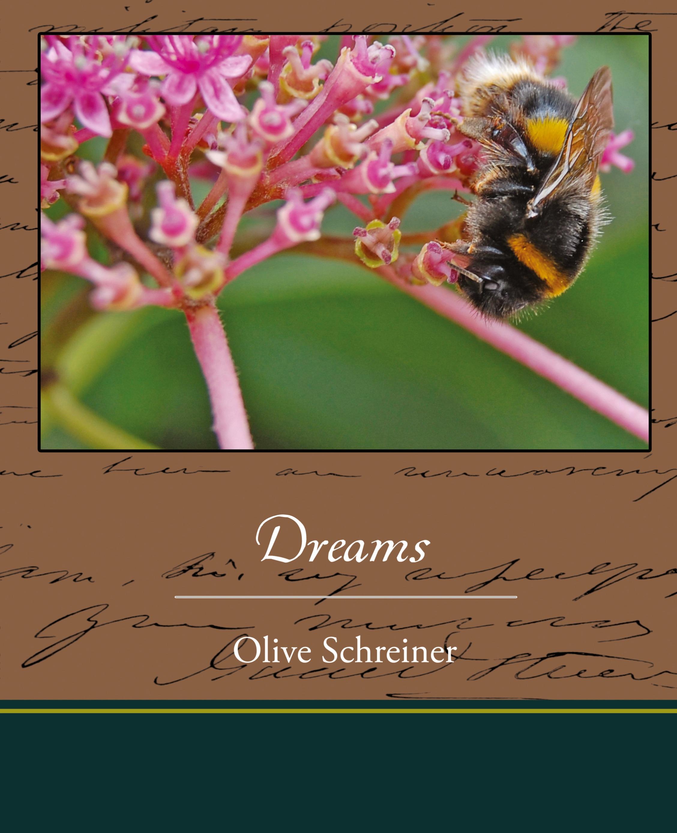 Vorderes Coverbild Dreams