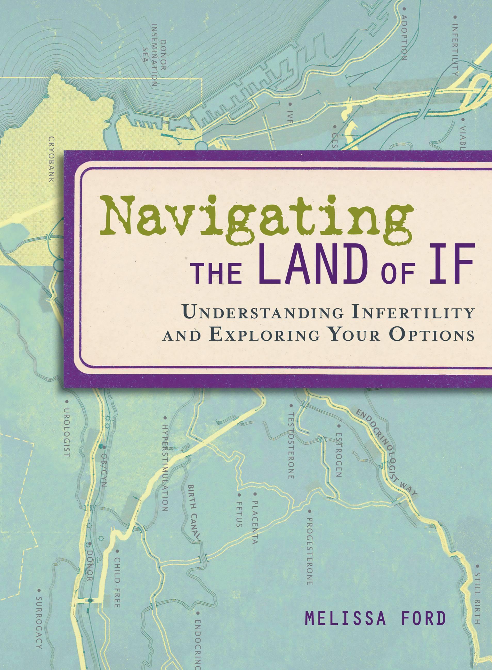 Vorderes Coverbild Navigating the Land of If