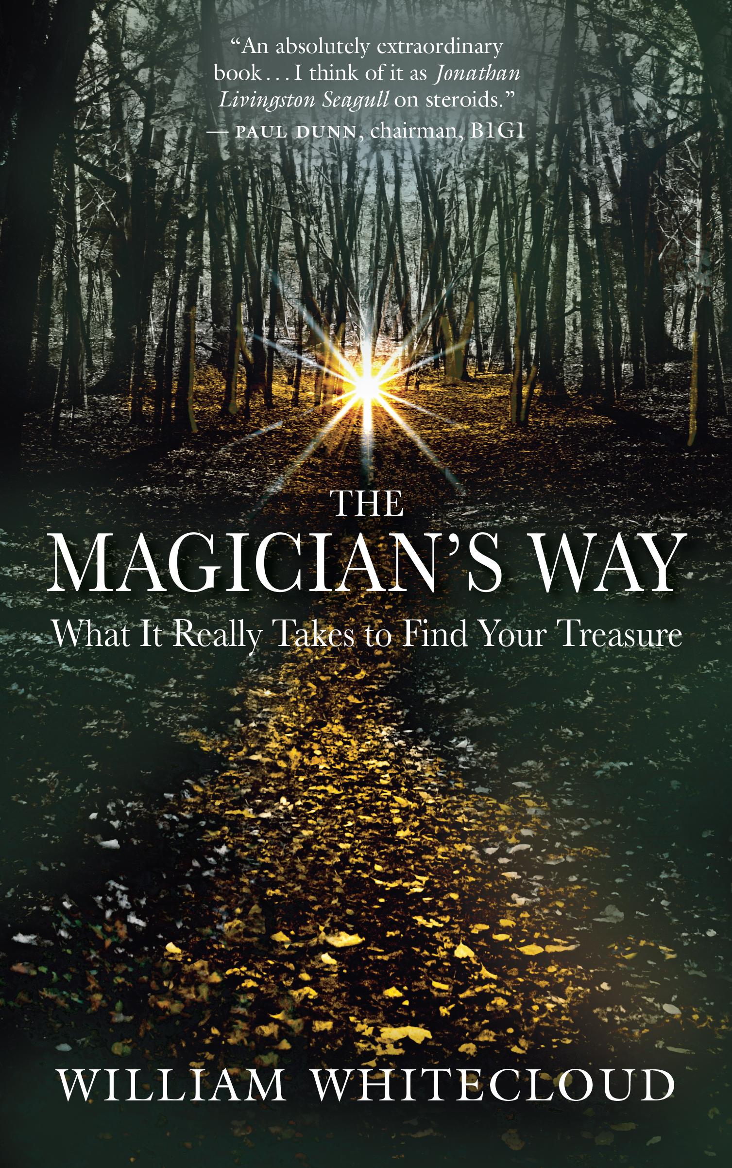 Vorderes Coverbild The Magician's Way