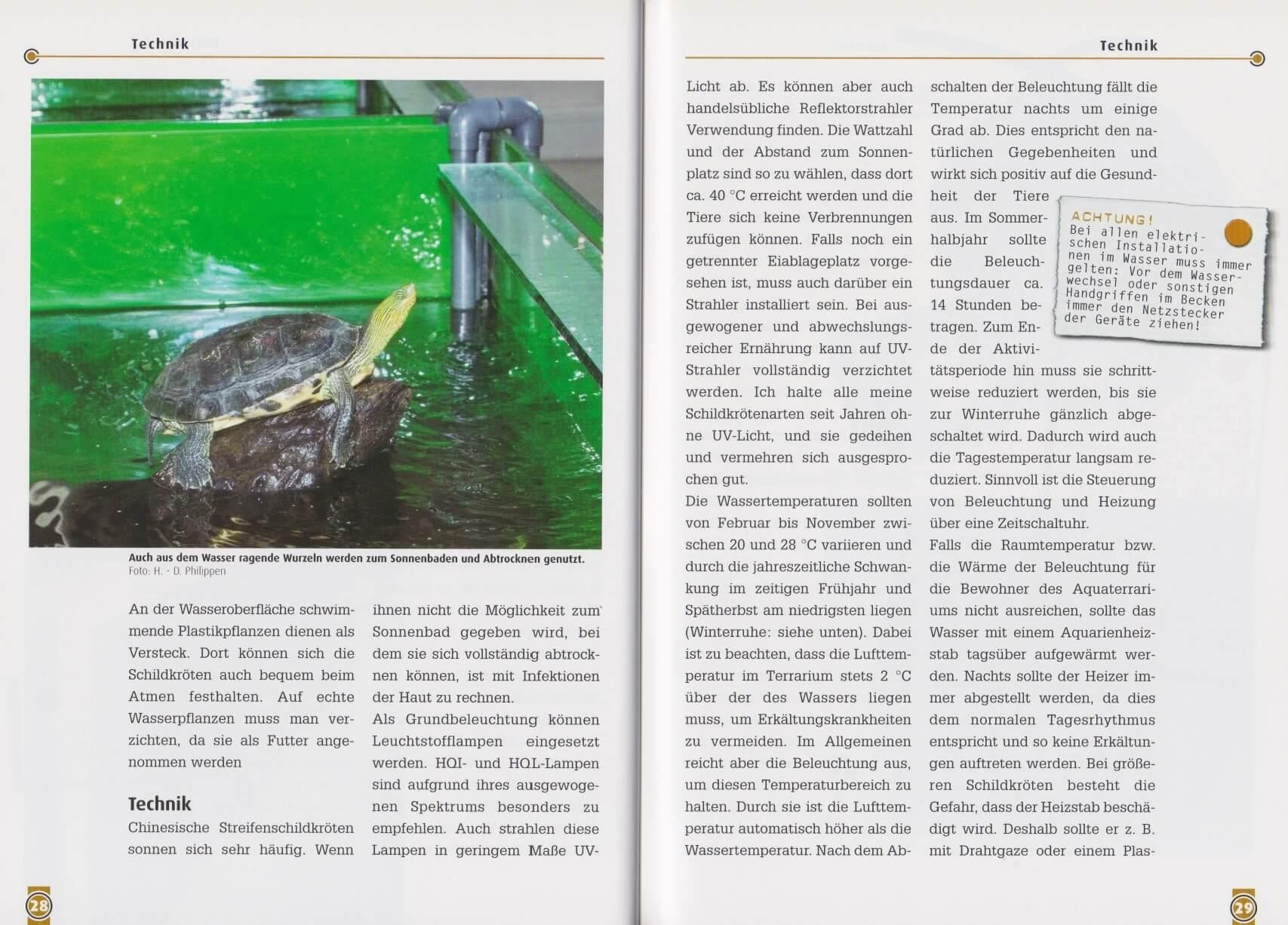 Beispielinhalt (Bild) Die Chinesische Streifenschildkröte