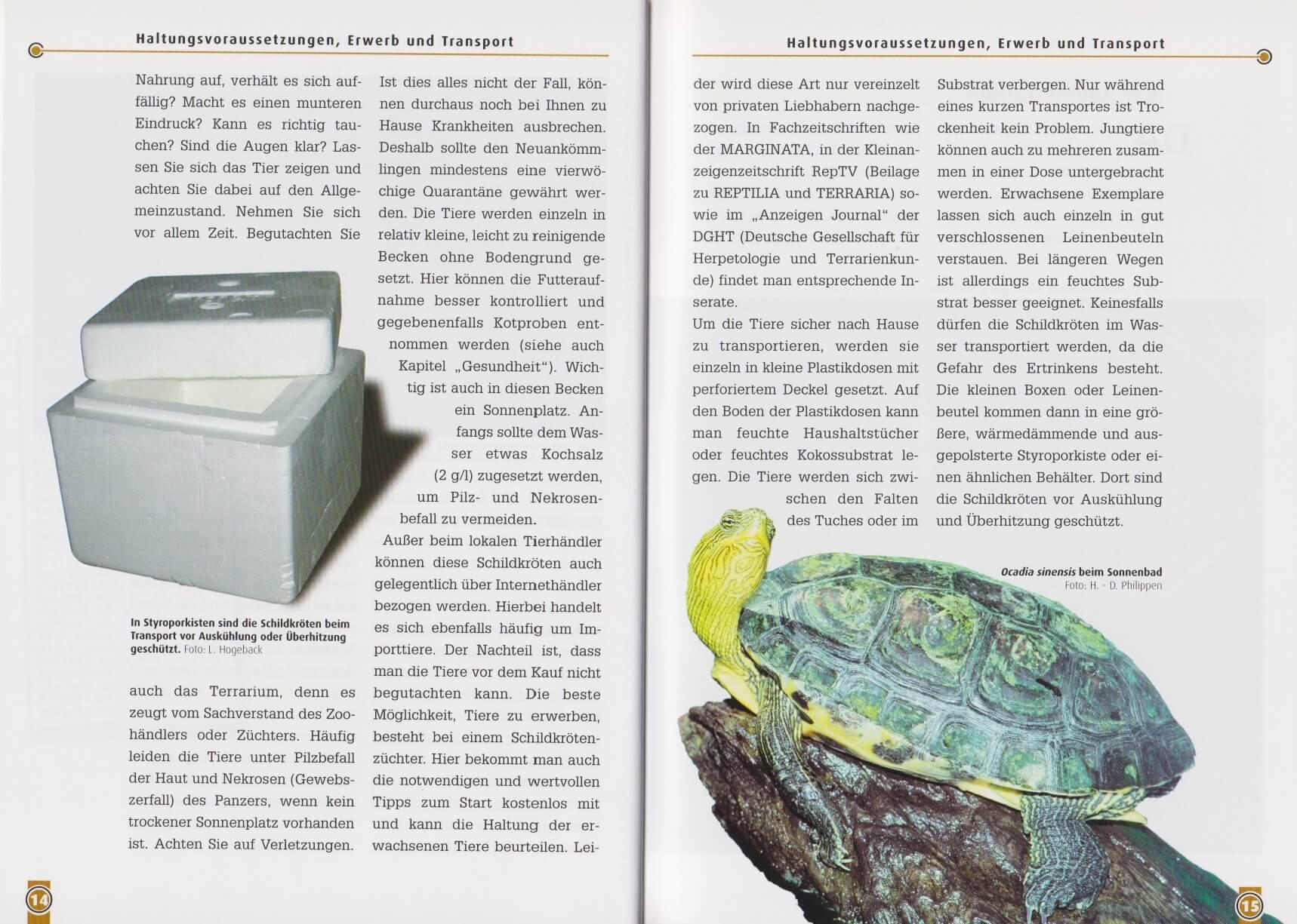 Beispielinhalt (Bild) Die Chinesische Streifenschildkröte