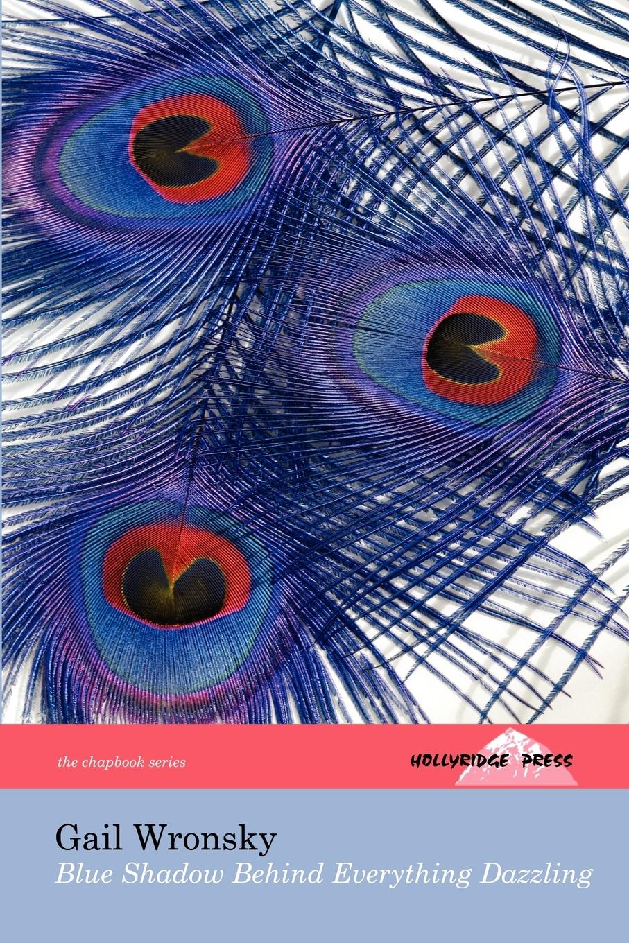 Vorderes Coverbild Blue Shadow Behind Everything Dazzling (The Hollyridge Press Chapbook Series)