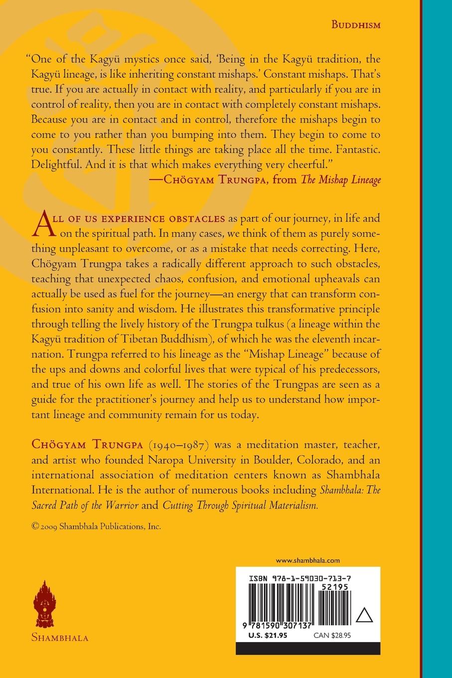 Rückseitencover The Mishap Lineage