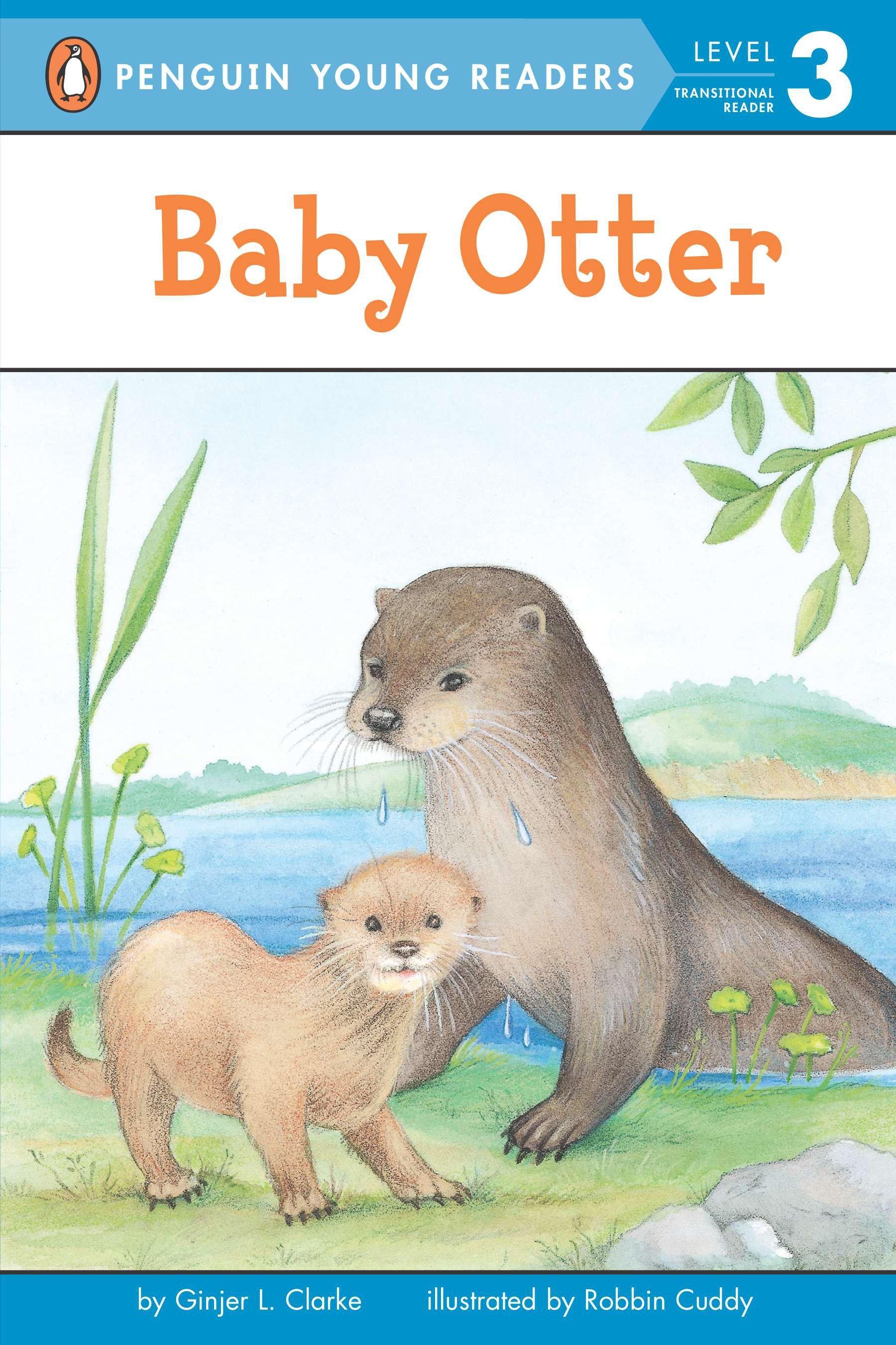 Vorderes Coverbild Baby Otter