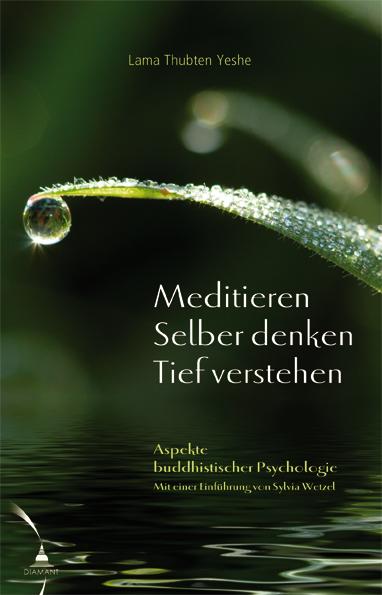 Vorderes Coverbild Meditieren. Selber denken. Tief verstehen