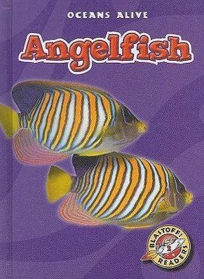 Vorderes Coverbild Angelfish