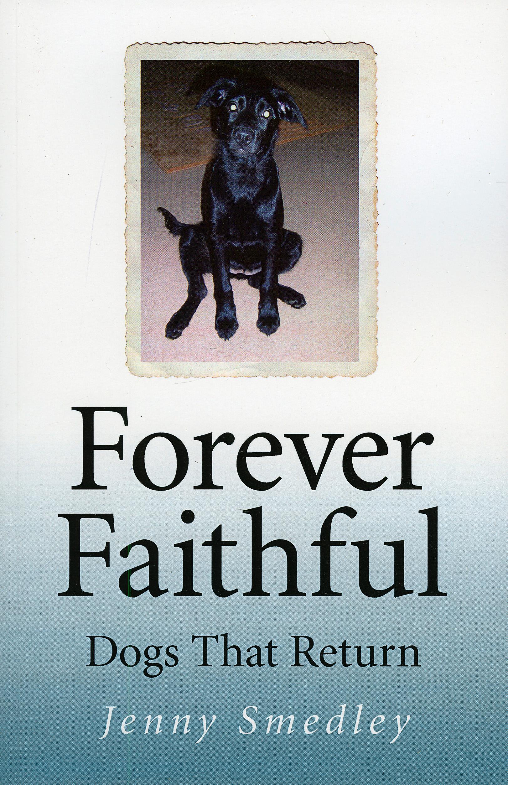 Vorderes Coverbild Forever Faithful