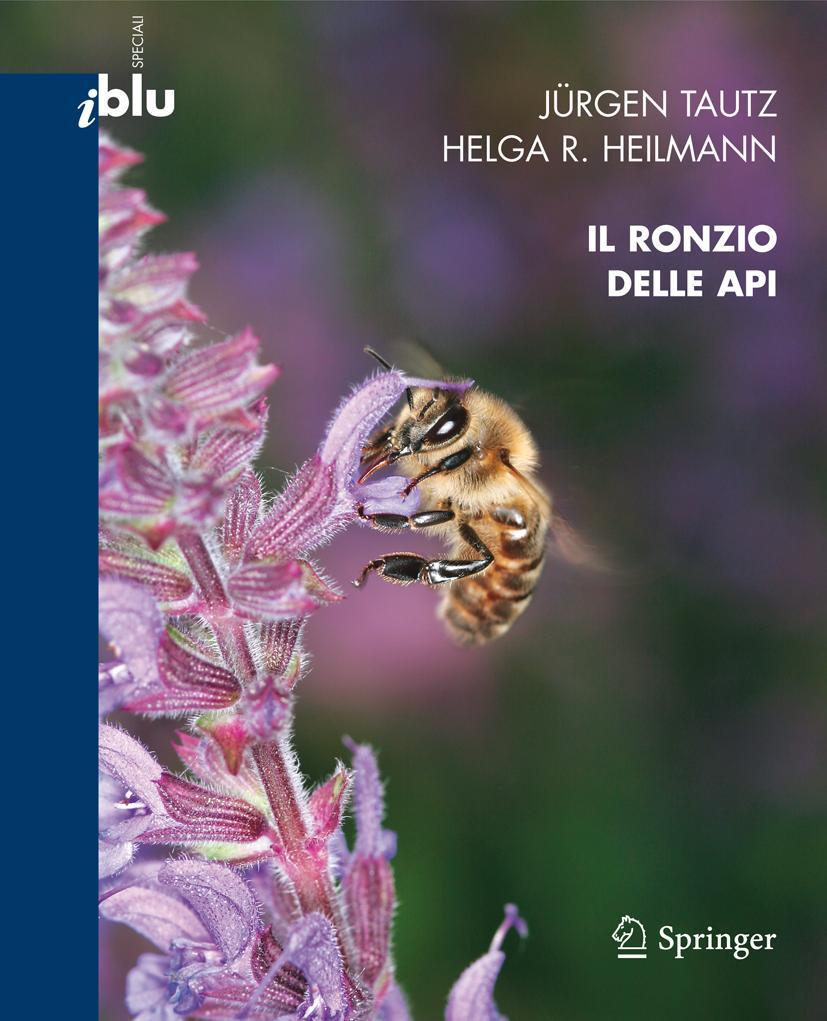 Vorderes Coverbild Il Ronzio Delle API