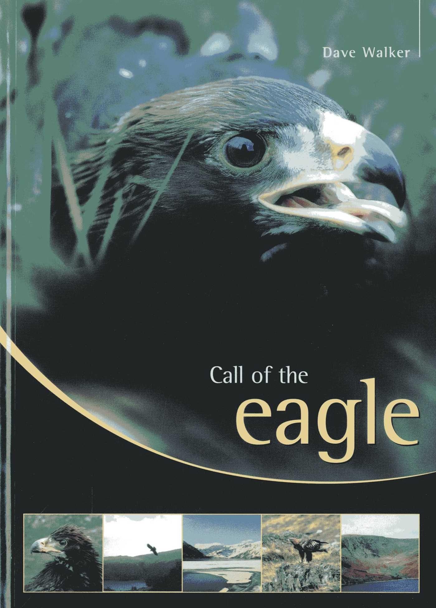 Vorderes Coverbild Call of the Eagle