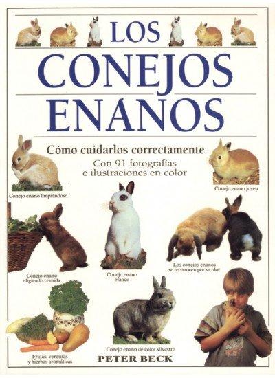 Vorderes Coverbild Los conejos enanos : cómo cuidarlos correctamente