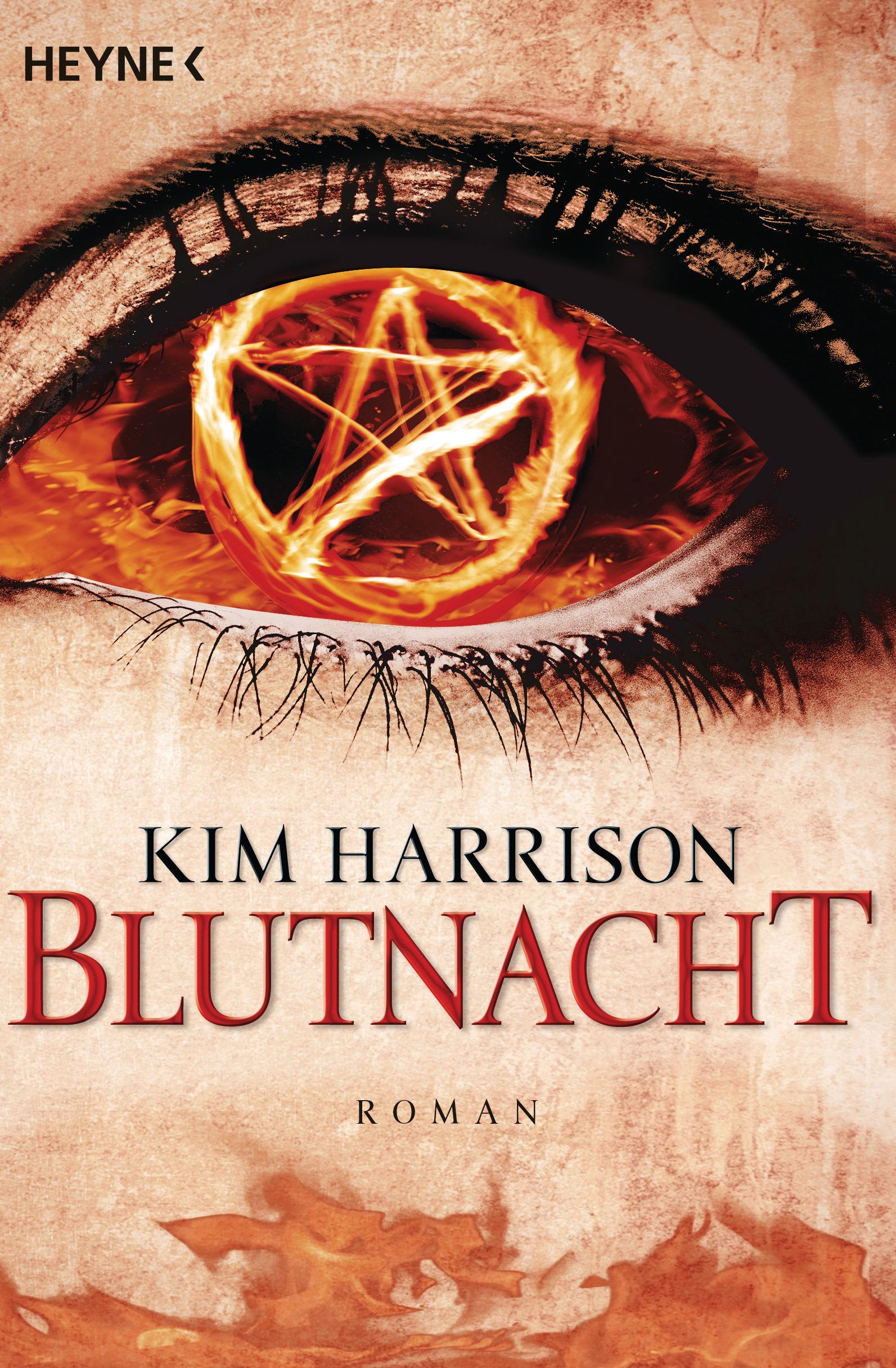 Vorderes Coverbild Blutnacht