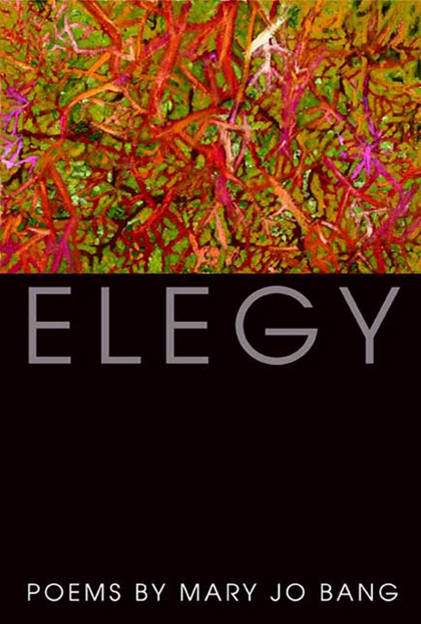 Vorderes Coverbild Elegy