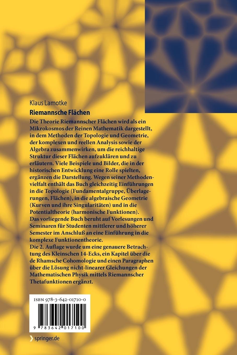 Rückseitencover Riemannsche Flächen