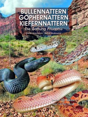 Vorderes Coverbild Bullennattern und Kiefernnattern
