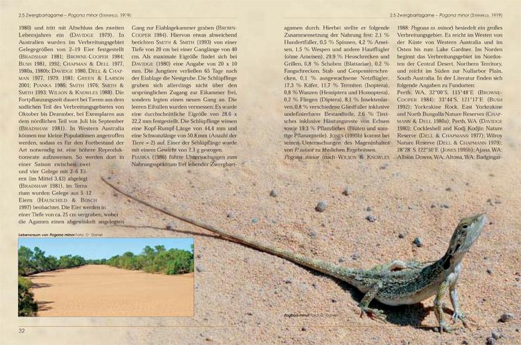 Beispielinhalt (Bild) Bartagamen