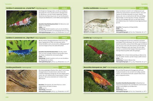 Beispielinhalt (Bild) Nano- Süßwasseraquarien
