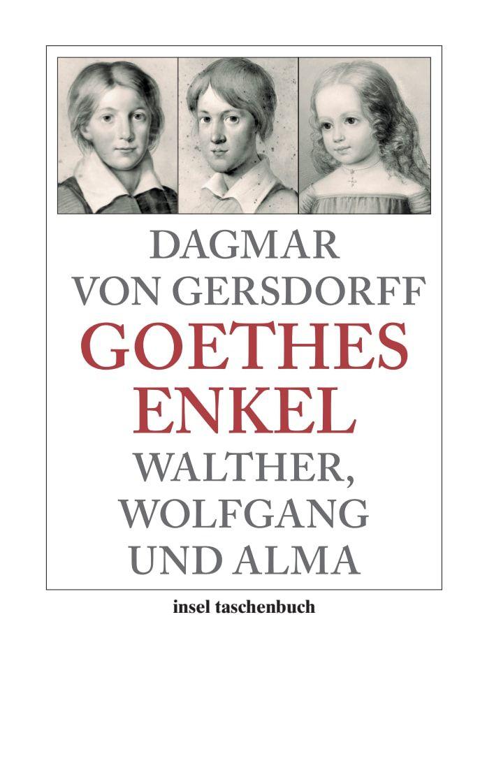 Vorderes Coverbild Goethes Enkel