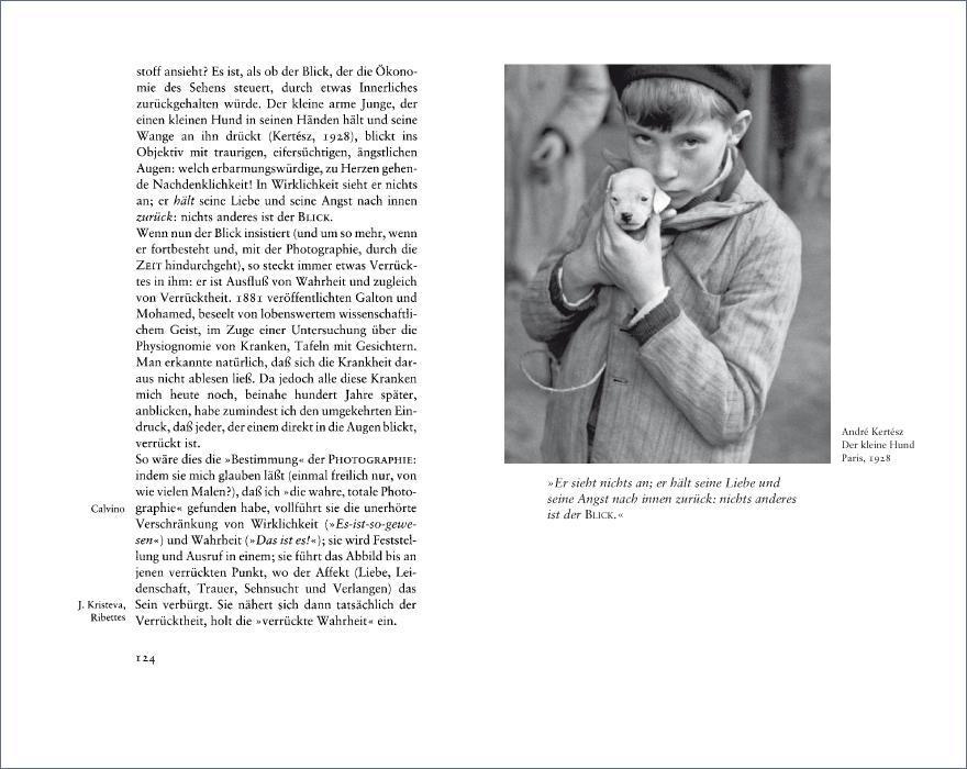 Beispielinhalt (Bild) Die helle Kammer