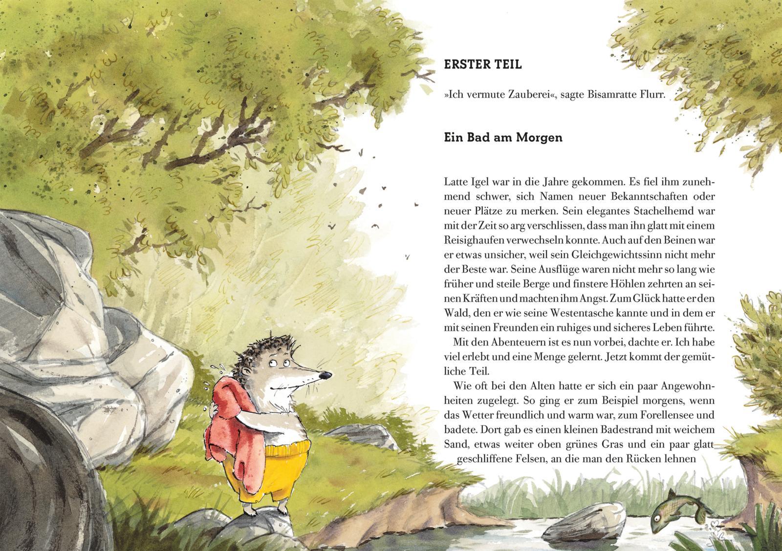 Beispielinhalt (Bild) Latte Igel und der Schwarze Schatten