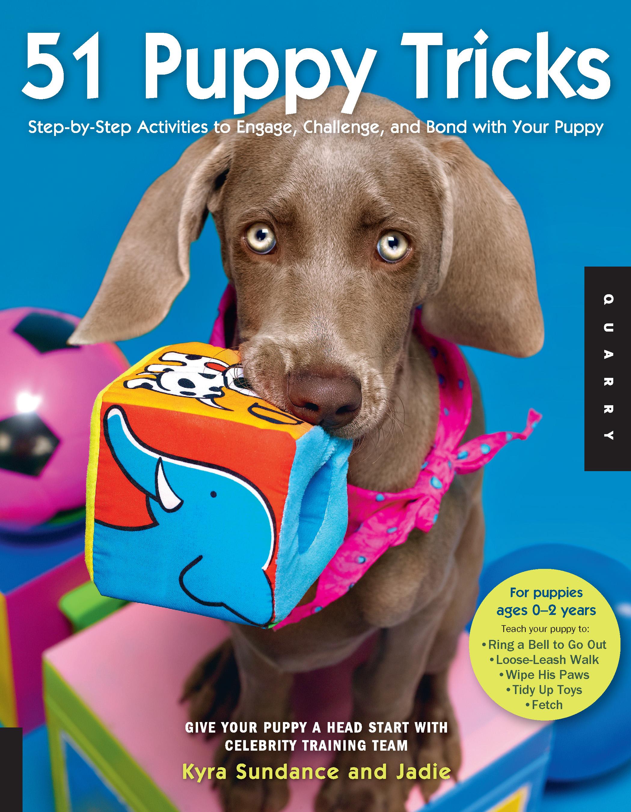 Vorderes Coverbild 51 Puppy Tricks