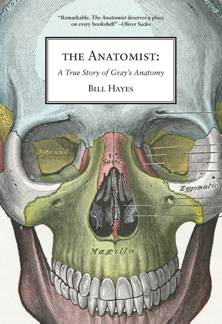 Vorderes Coverbild The Anatomist