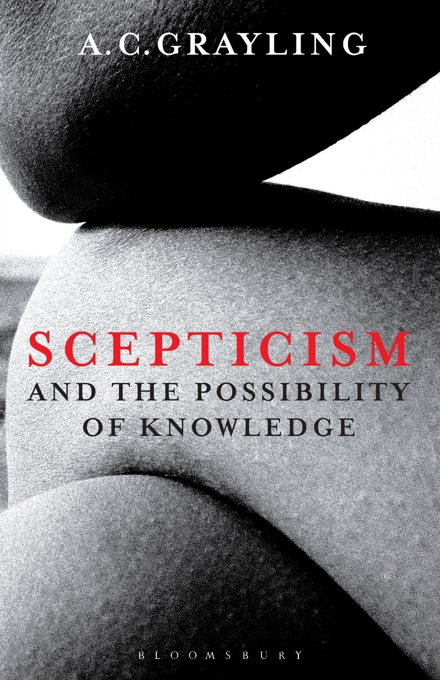 Vorderes Coverbild Scepticism and the Possibility of Knowledge