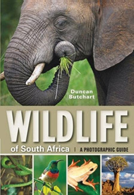 Vorderes Coverbild Wildlife of South Africa