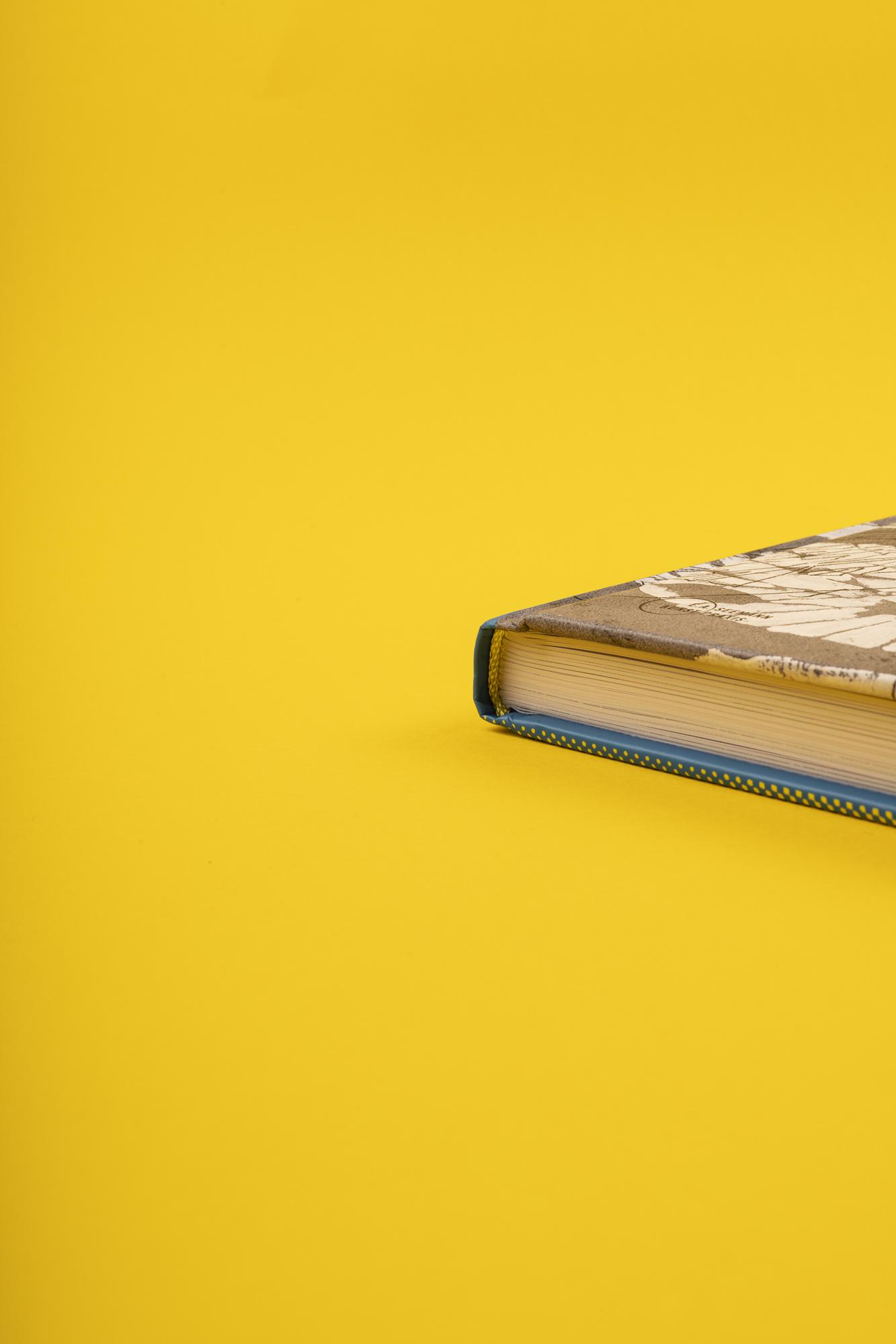 Beispielinhalt (Bild) Die Linie